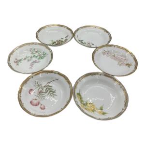 Noritake (ノリタケ) スーププレート キズ有・塗装ハゲ ガーラ・コンテッサ/GALA CONTESSA