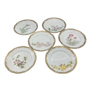 Noritake (ノリタケ) スーププレート キズ・塗装ハゲ有 ガーラ・コンテッサ/GALA CONTESSA