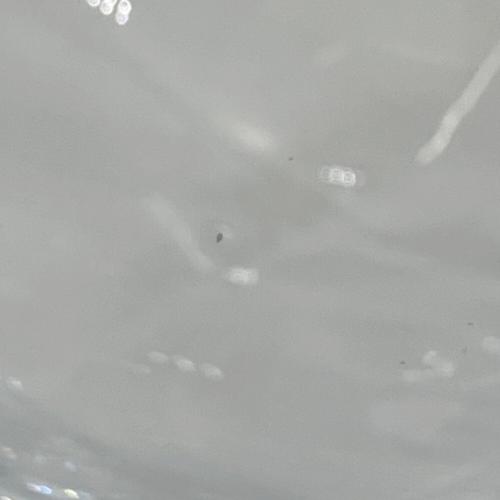 WATASHI JAPAN グラス 縁-Enishi-