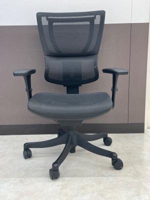 Ergohuman (エルゴヒューマン) オフィスチェア アームレスト付き @ ブラック