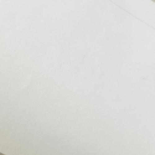 Nikon (ニコン) Nikon 100周年記念 ミニチュアカメラ フィギュア ニコンF