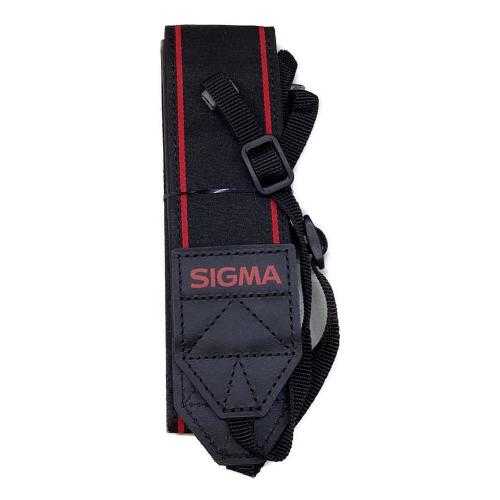 SIGMA (シグマ) デジタル一眼レフカメラ SD1 Merrill レンズセット レンズ:17-50mm 1:2.8 バッグ付