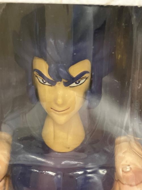 BANDAI (バンダイ) 聖闘士聖衣神話 フィギュア 聖闘士星矢
