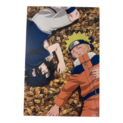 NARUTO (ナルト) 豪華設定資料集セット