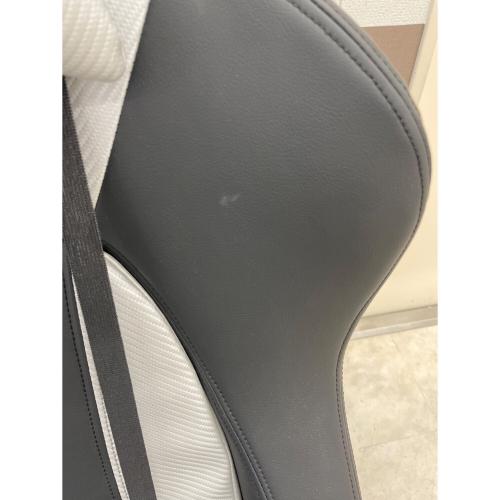 AK Racing (エーケーレーシング) ゲーミングチェア ブラック×シルバー Premium