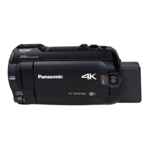 Panasonic (パナソニック) 4Kデジタルビデオカメラ HC-WX970M 2015年製