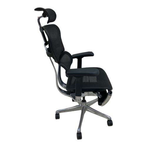 Ergohuman (エルゴヒューマン) ワークチェアー ブラック Pro2 Ottiman