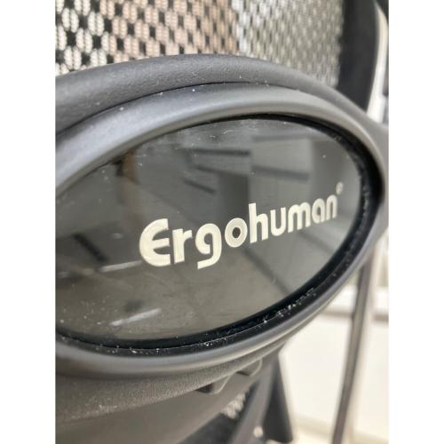 Ergohuman (エルゴヒューマン) ワークチェアー ブラック Pro2 Ottiman