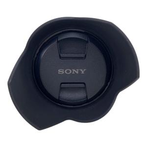 SONY (ソニー) ズームレンズ Vario-Tessar T* E 16-70mm F4 ZA OSS SEL1670Z -