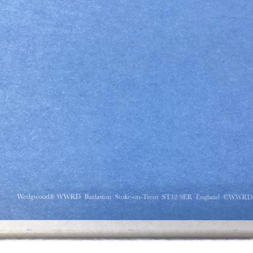 Wedgwood (ウェッジウッド) シャンパングラス 2Pセット