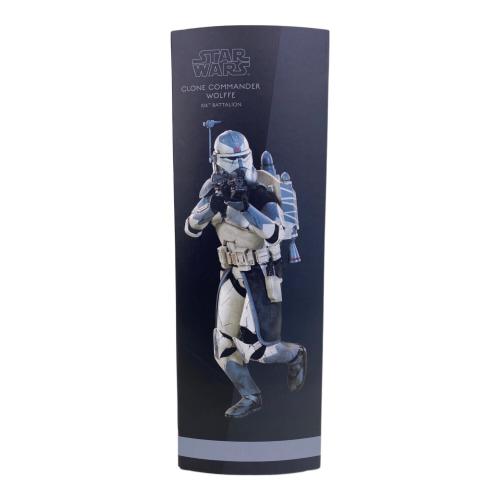 STAR WARS (スターウォーズ) フィギュア 1/6スケールフィギュア【ミリタリーズ・オブ・スター・ウォーズ】 コマンダー・ウォルフ