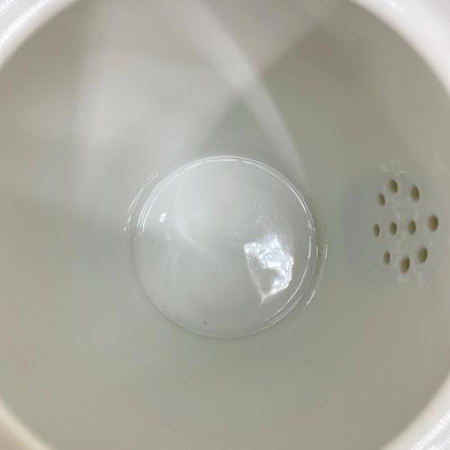 Noritake (ノリタケ) 洋食器 ティーセット 10Pセット 木箱付き 日本陶器會社 1912年頃 ヴィンテージ