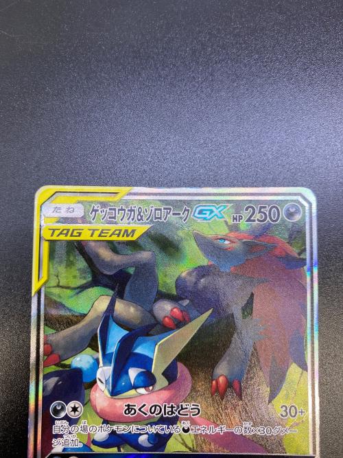 ゲッコウガ＆ゾロアーク ポケモンカード 059/055 SR ナイトユニゾン