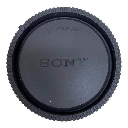 SONY (ソニー) ミラーレス一眼カメラ NEX-5T ダブルズームキット 動作確認（無）