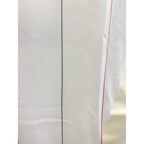 adidas (アディダス) フランス代表 2010 ユニフォーム アウェイ 長袖 選手支給用【TECHFIT】 ゲームシャツ P41211 ホワイト
