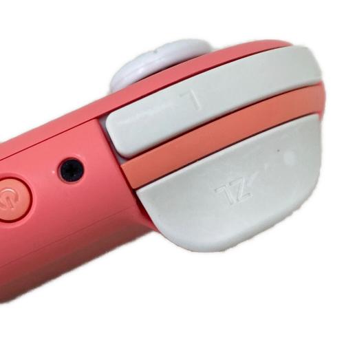 Nintendo (ニンテンドー) Nintendo Switch Lite HDH-001