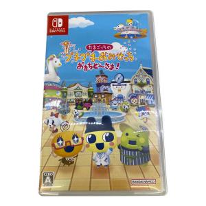 任天堂 (ニンテンドー) ピクミン4 Nintendo Switch用ソフト CERO A (全年齢対象)