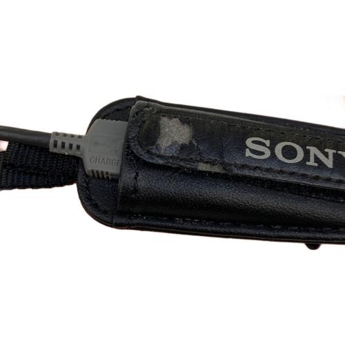 SONY (ソニー) デジタルビデオカメラ HDR-CX670
