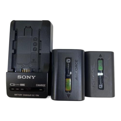 SONY (ソニー) デジタルビデオカメラ HDR-CX670