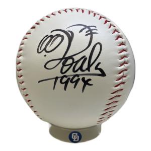 中日ドラゴンズ (チュウニチドラゴンズ) 応援グッズ ドアラの大きいボール