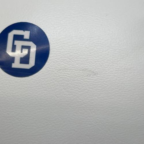 中日ドラゴンズ (チュウニチドラゴンズ) 応援グッズ ドアラの大きいボール