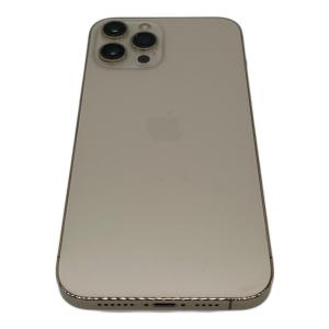 Apple iPhone12 Pro Max