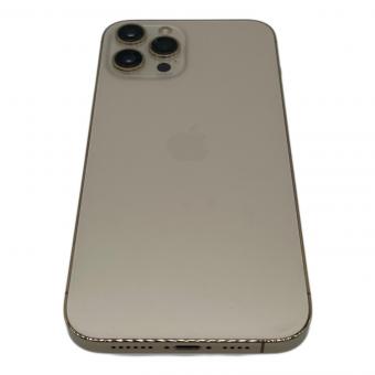 Apple iPhone12 Pro Max