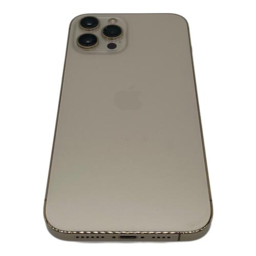 Apple iPhone12 Pro Max