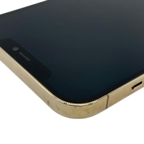 Apple iPhone12 Pro Max