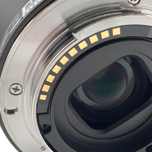 SONY E PZ 18-105mm F4 G OSS SELP18105G