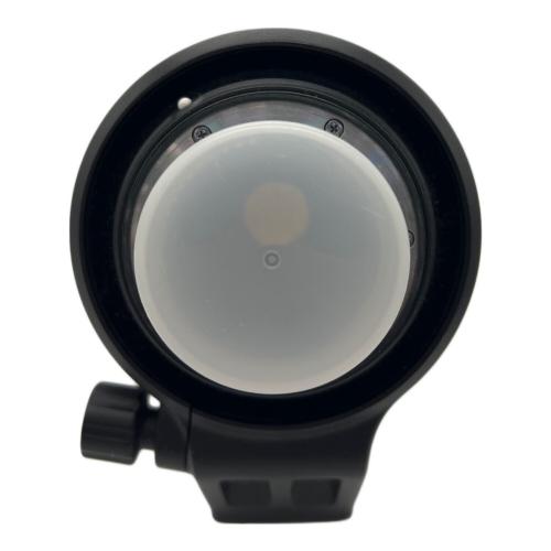 Nikon (ニコン) ズームレンズ AF-S NIKKOR
