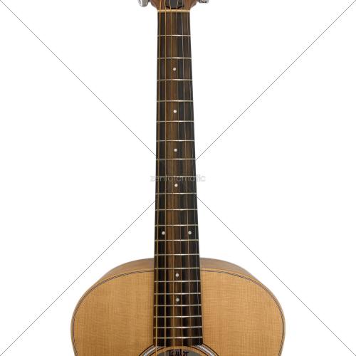 Taylor (テイラー) アコースティックギター GS MINI マホガニーネック