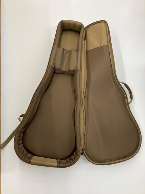 Taylor (テイラー) アコースティックギター GS MINI マホガニーネック