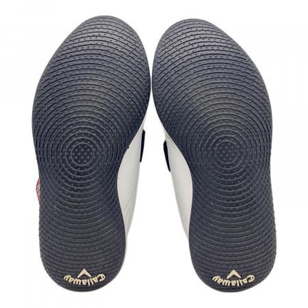 Callaway (キャロウェイ) BALTRAINER(バルトレイナー) ゴルフ練習用