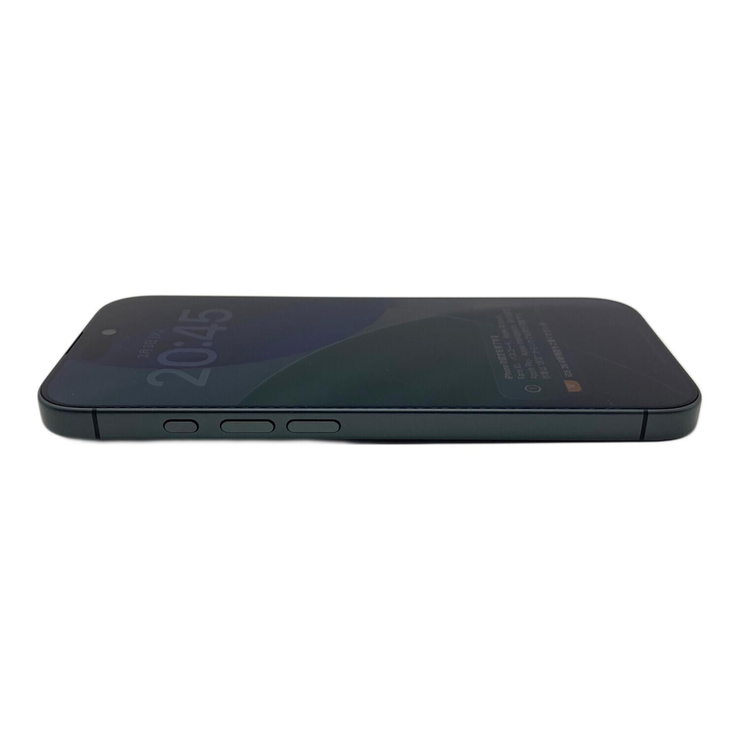 Apple (アップル) iPhone17 256GB MG674J/A SIM FREE｜トレファクONLINE