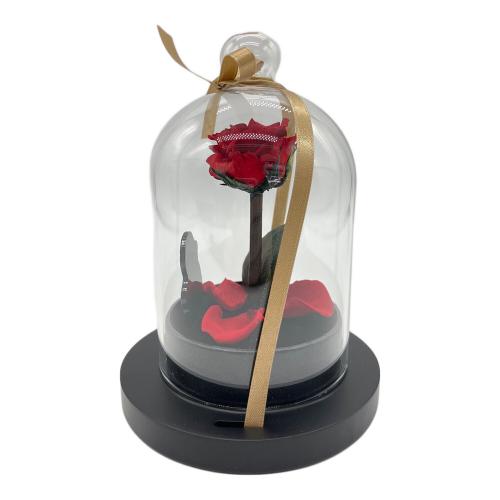 AMOROSA MODERNO リトルベル 美女と野獣 バラドーム プリザーブドフラワー キャラクターグッズ