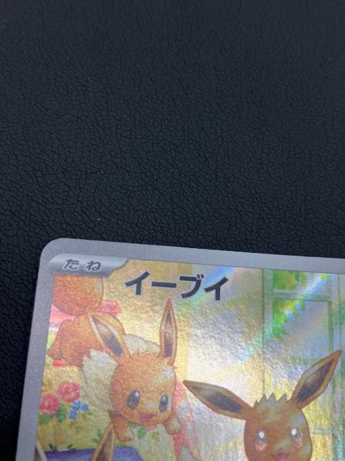 ポケモンカード イーブイ 078/066 AR