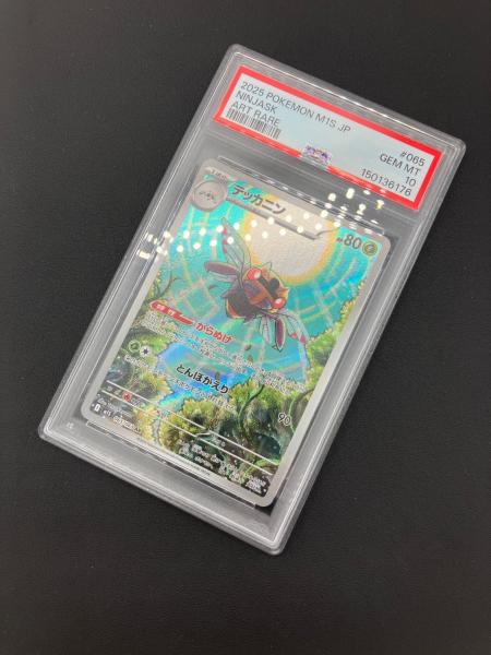 ポケモンカード テッカニン 065/063 AR PSA10｜トレファクONLINE