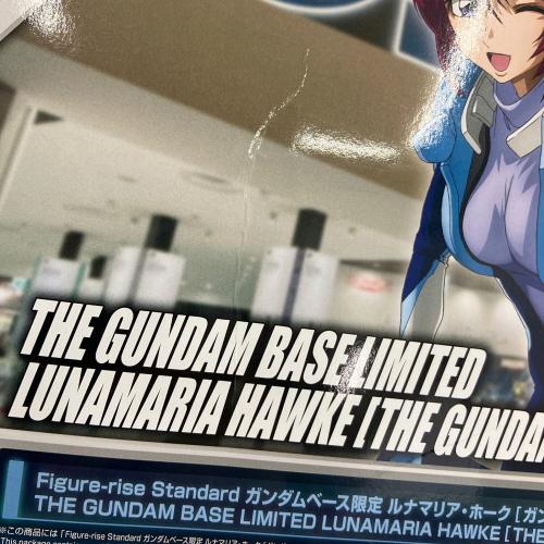 BANDAI (バンダイ) Figure-rise Standard ルナマリア・ホーク(ガンダムベースカラー) ガンプラ ガンダムベース限定