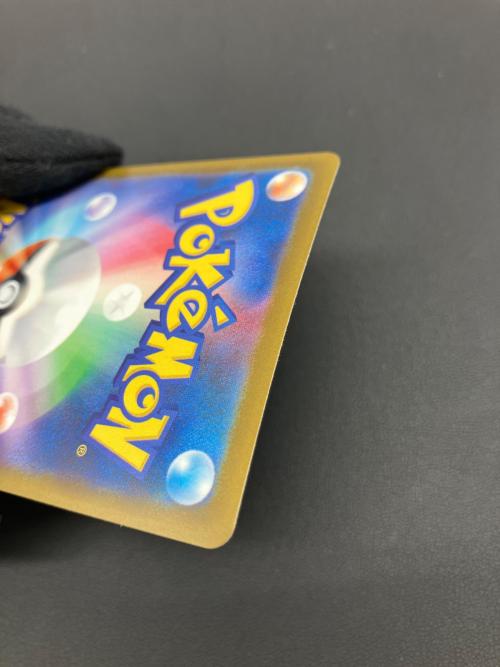 ポケモンカード メガカイリューEX 246/193 SAR