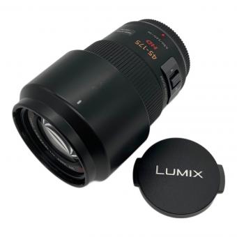 Panasonic (パナソニック) LUMIX G X VARIO PZ 45-175mm/F4.0-5.6 ASPH./POWER O.I.S. 望遠電動ズームレンズ H-PS45175