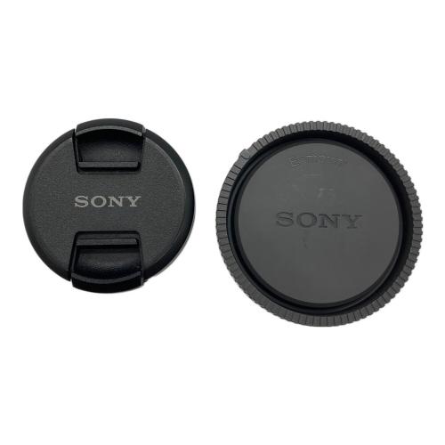 SONY (ソニー) E 16mm F2.8 広角パンケーキ単焦点レンズ SEL16F28 ソニーEマウント