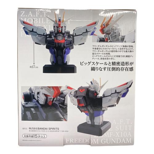BANDAI SPIRITS (バンダイスピリッツ) 機動戦士ガンダムSEED 一番くじ 機動戦士ガンダムSEED A賞 フリーダムガンダム 胸像フィギュア
