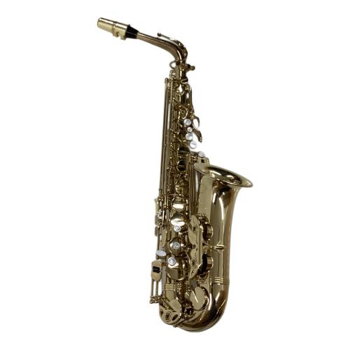 Selmer (セルマー) アルトサックス スーパーアクション80 シリーズ2 Super Action 80 SERIE II 685927