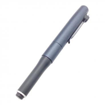 セーラー万年筆 (セーラー) 万年筆 ミント ヴェイリオ パールミント