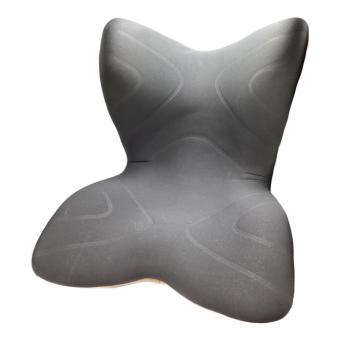 MTG (エムティージー) 骨盤サポートチェア ブラック MTG Style PREMIUM