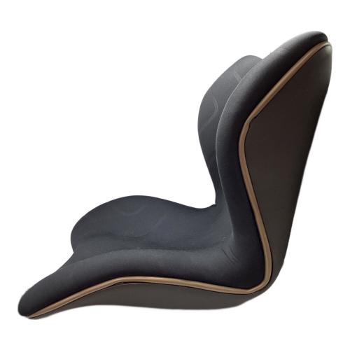 MTG (エムティージー) 骨盤サポートチェア ブラック MTG Style PREMIUM