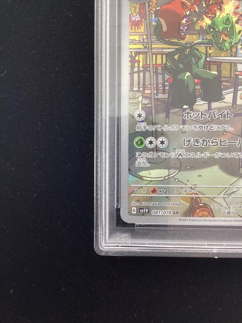 スコヴィラン ポケモンカード 081/078 AR PSA10 ポケモンカード