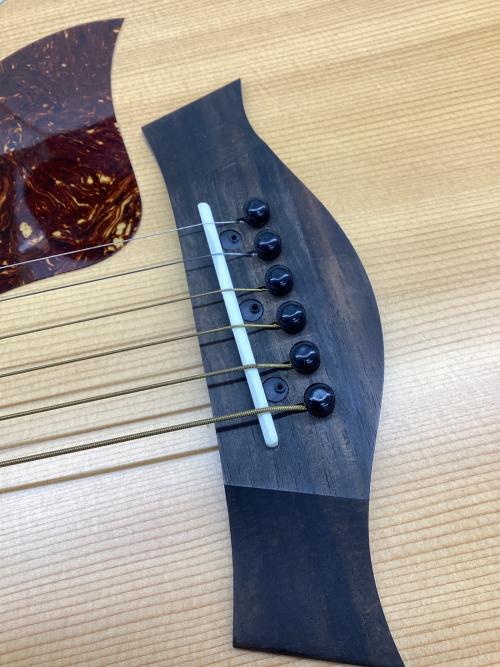 Taylor Guitars (ティラーギター) エレアコギター 214ce 2020年製