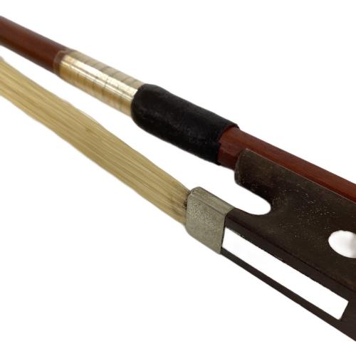 Carlo giordano (カルロジョルダーノ) Silenzia エレクトリックバイオリン